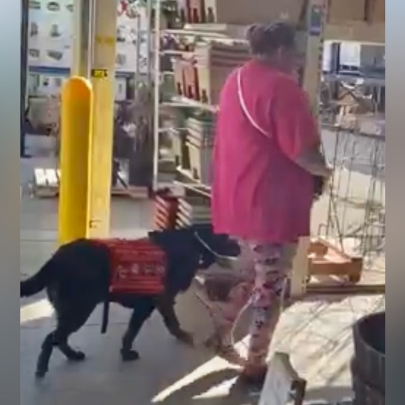 Pearlescent paw earrings gold tone NWT - Picture 4 of 9